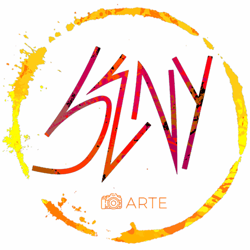 Seny Arte